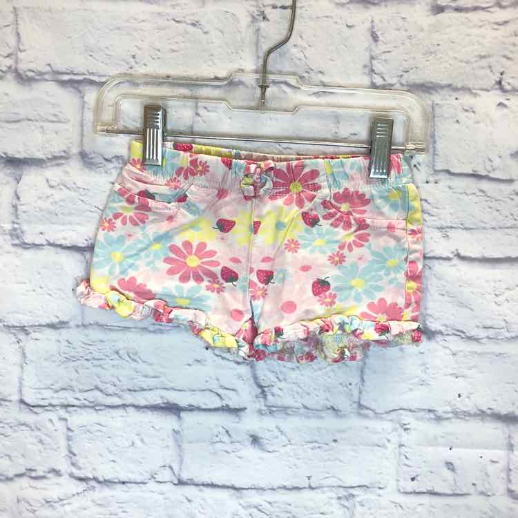 Carters Floral Size 2T Girls Shorts