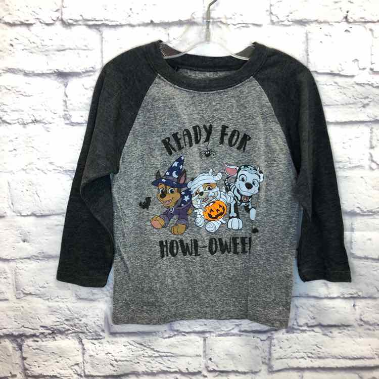 Paw Patrol Gray Size 3T Boys Long Sleeve Shirt