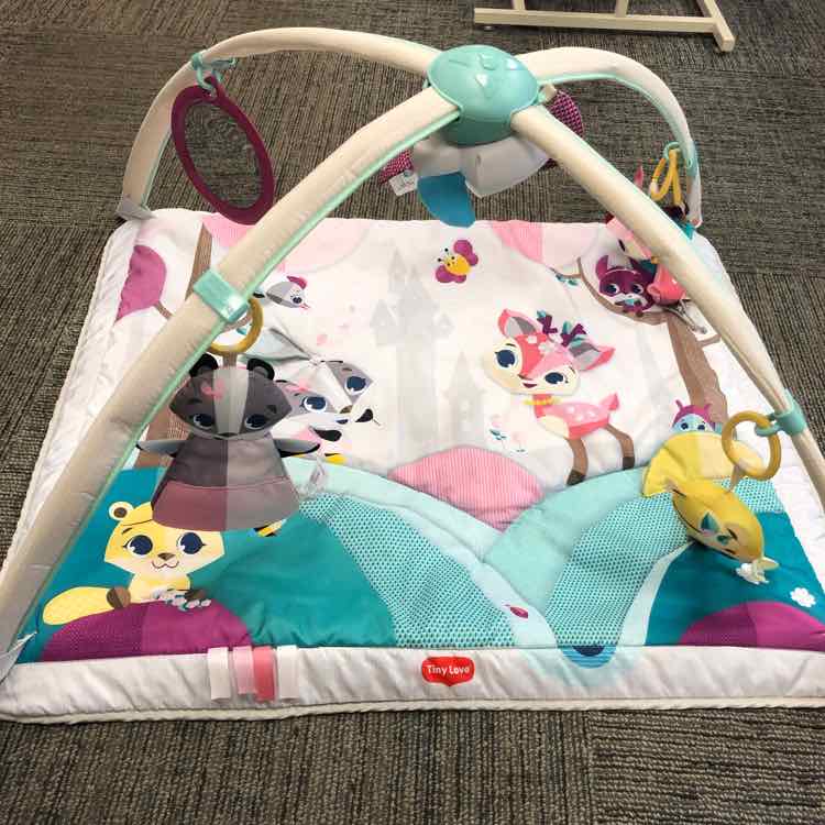 Tiny Love Tiny Princess Tales Gymini Deluxe Activity Gym