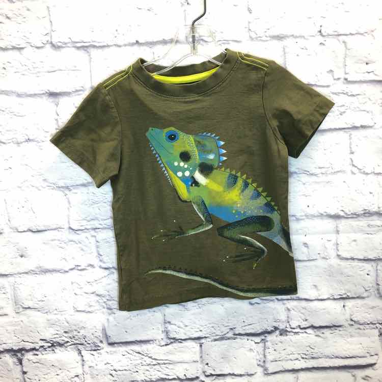 Tea Green Size 3T Boys Short Sleeve Shirt