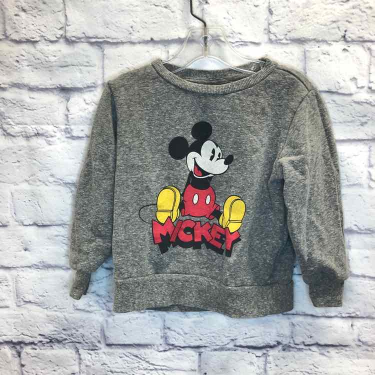 Disney Gray Size 3T Boys Sweatshirts/Hoodie