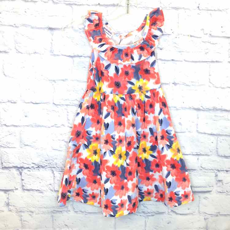 Blueberi Blvd Floral Size 4T Girls Dress